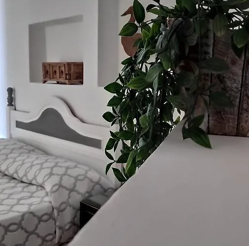 Apartment Aptos Con Piscina El Flamboyan 1