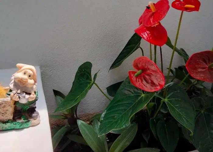 Aptos Con Piscina El Flamboyan 1 Apartmán *