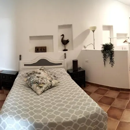 Aptos Con Piscina El Flamboyan 1 *